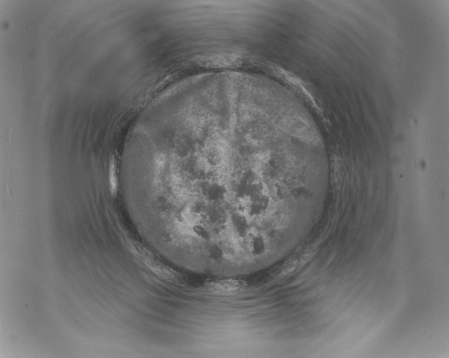 X0000071850069200607290143