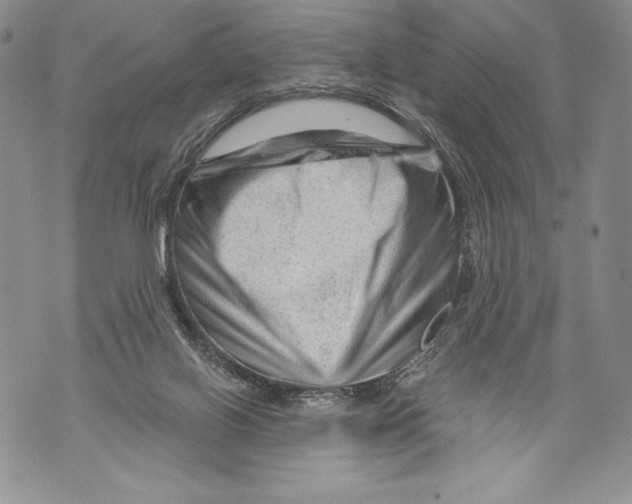 X0000071850070200607290143