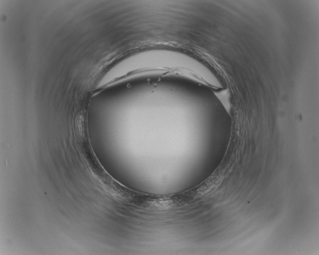 X0000071850071200607290143