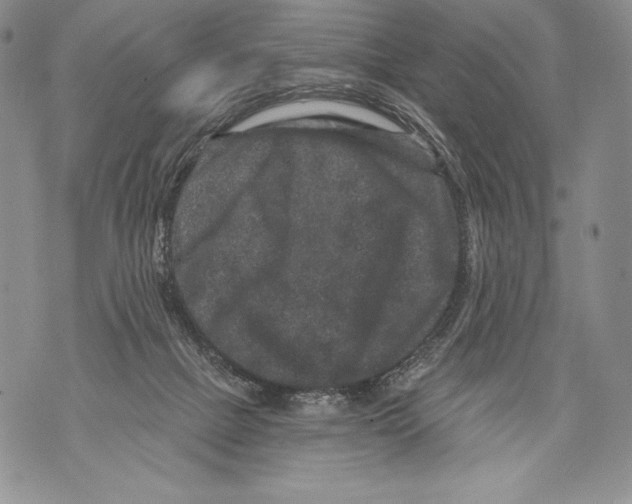 X0000071850073200607290143