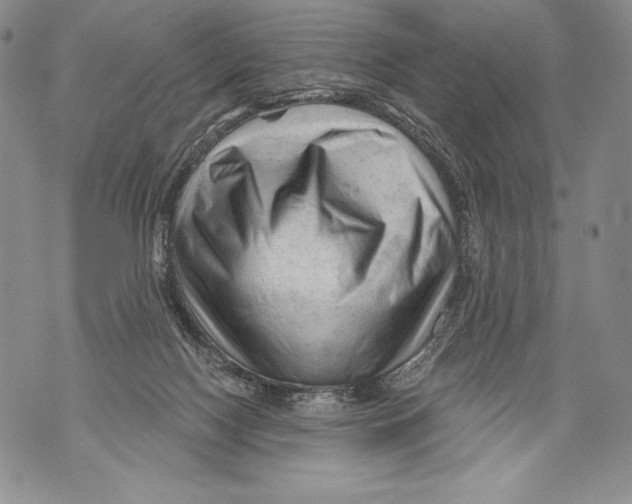 X0000071850074200607290143