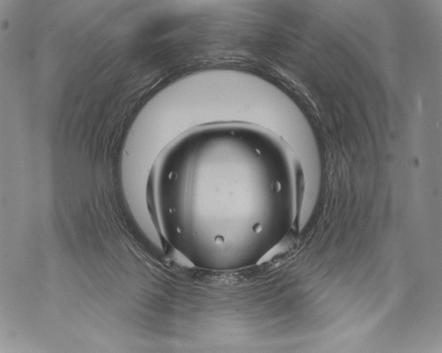 X0000071850075200607290143