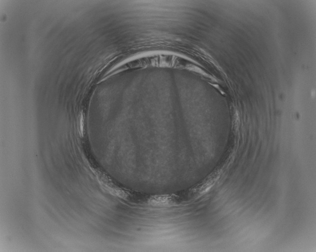 X0000071850076200607290143