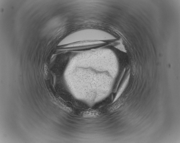 X0000071850077200607290143