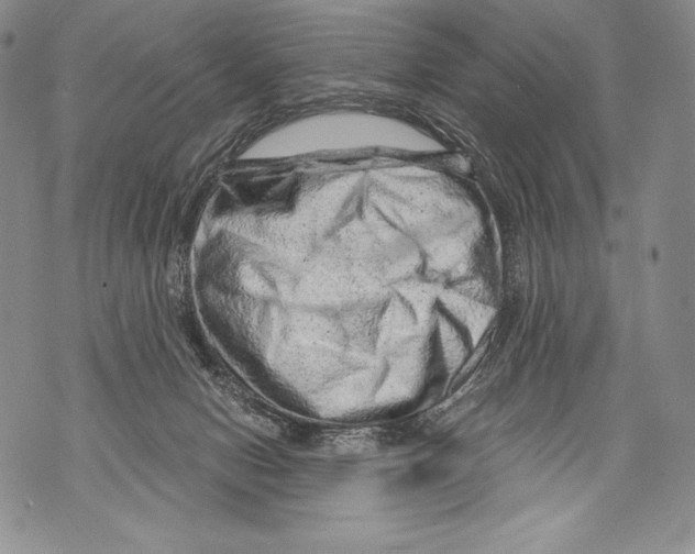 X0000071850078200607290143