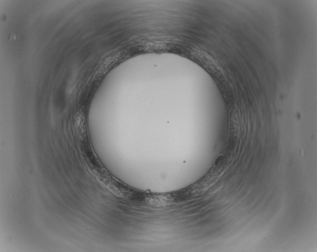 X0000071850079200607290143