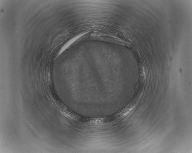 X0000071850080200607290143