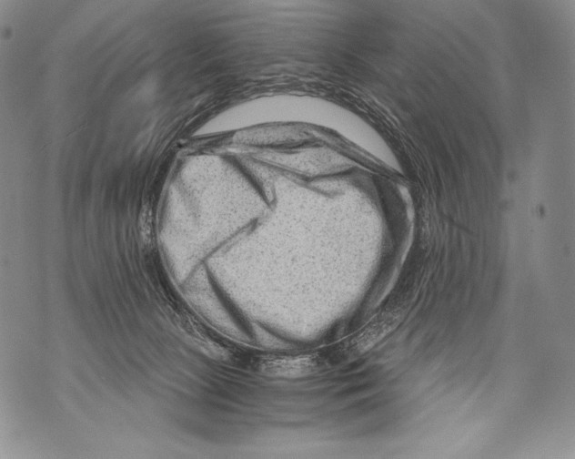 X0000071850081200607290143