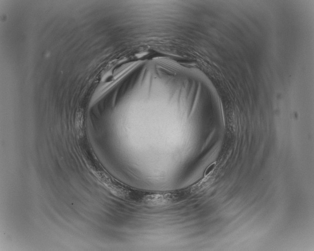 X0000071850082200607290143