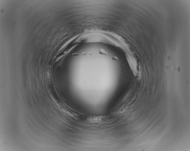 X0000071850084200607290143