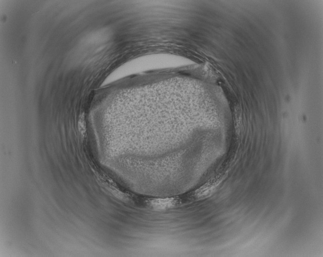 X0000071850085200607290143