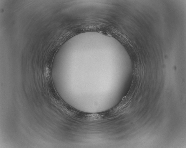 X0000071850087200607290143