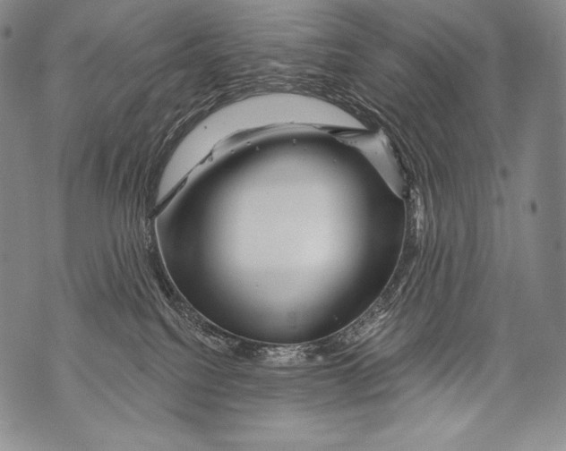 X0000071850088200607290143