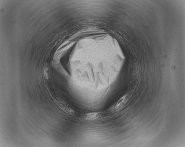 X0000071850090200607290143