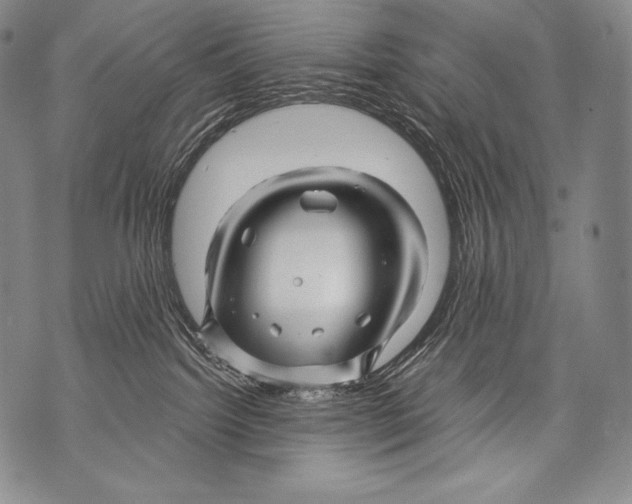 X0000071850092200607290143