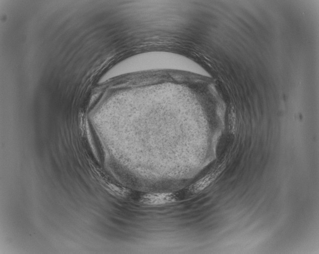 X0000071850093200607290143