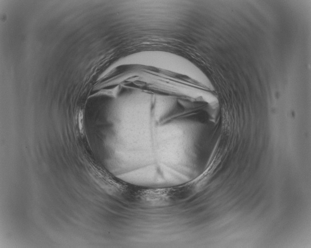 X0000071850094200607290143