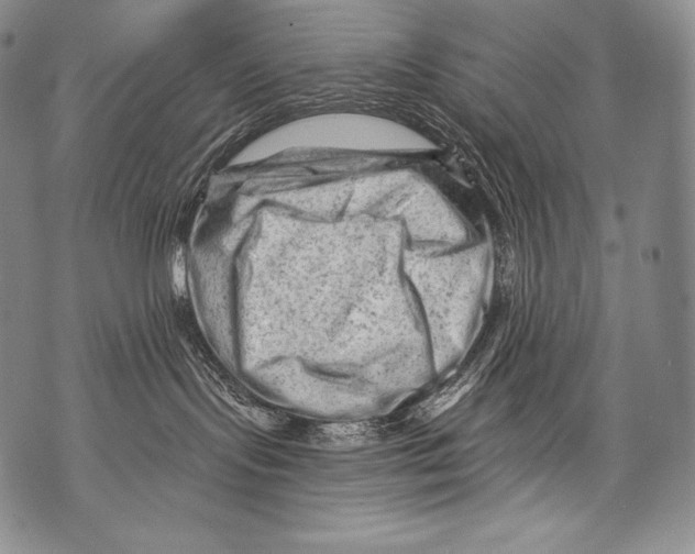 X0000071850095200607290143