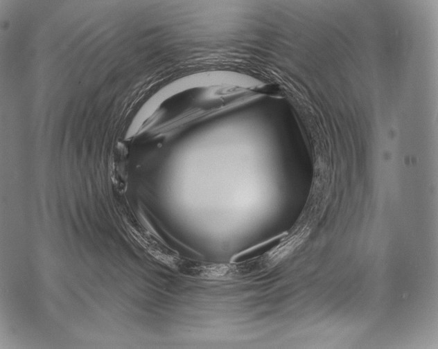 X0000071850096200607290143