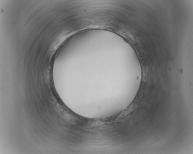 X0000071850098200607290142