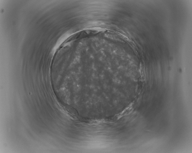 X0000071850099200607290142