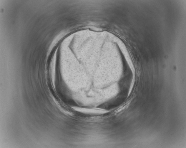 X0000071850102200607290142