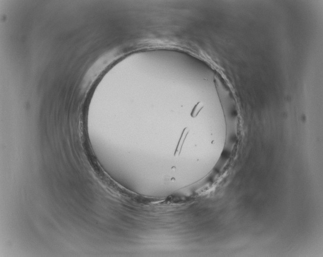 X0000071850103200607290142