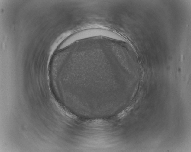 X0000071850104200607290142