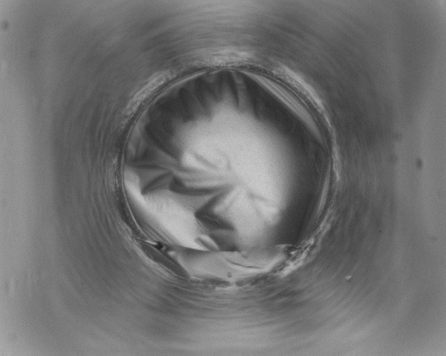 X0000071850105200607290142