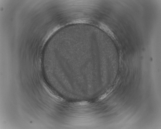 X0000071850108200607290142