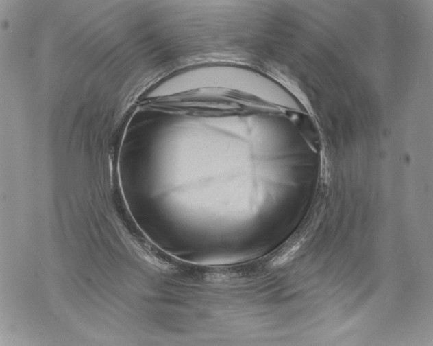 X0000071850109200607290142