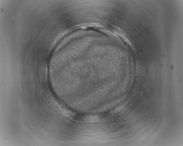 X0000071850110200607290142