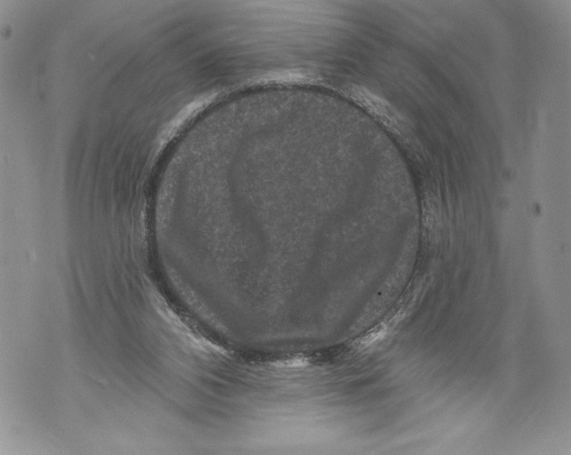 X0000071850112200607290142