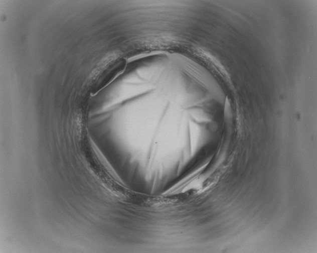 X0000071850113200607290142