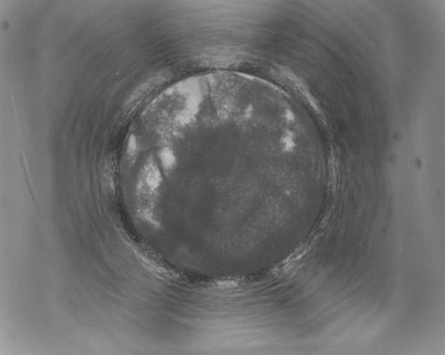 X0000071850114200607290142