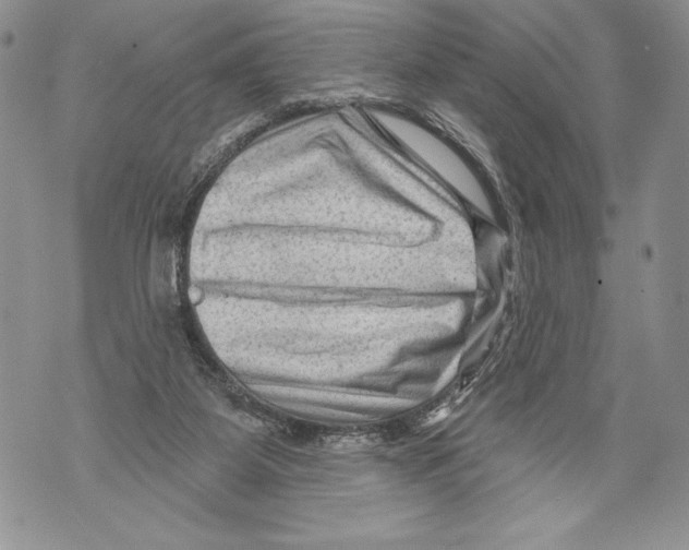 X0000071850115200607290142