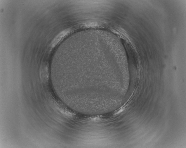 X0000071850116200607290142