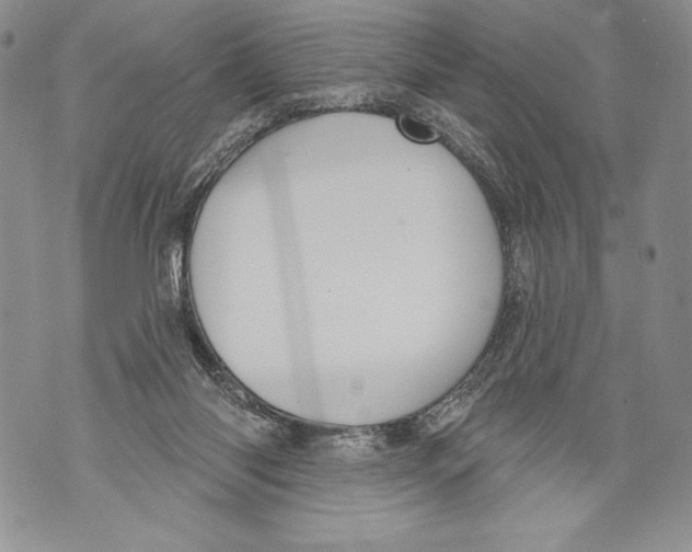 X0000071850118200607290142