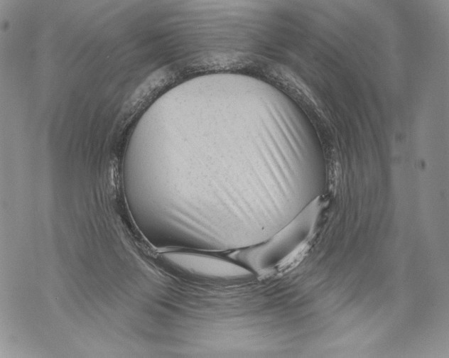 X0000071850119200607290142