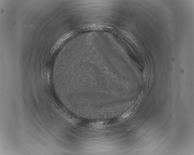 X0000071850120200607290142