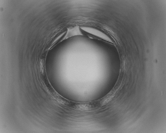 X0000071850121200607290142