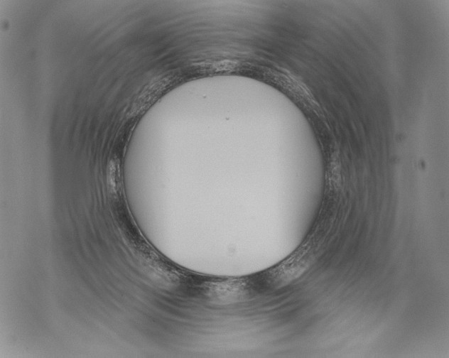 X0000071850122200607290142