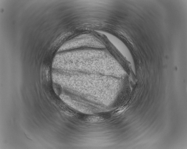 X0000071850123200607290142