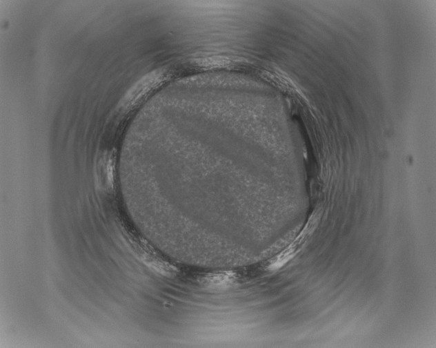 X0000071850124200607290142