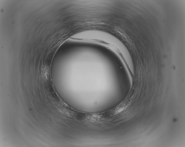 X0000071850125200607290142