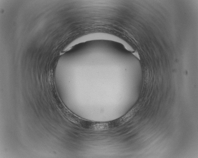 X0000071850126200607290142