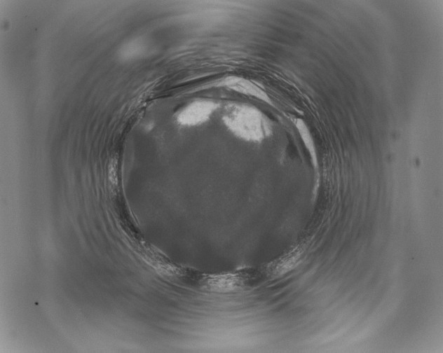 X0000071850127200607290142