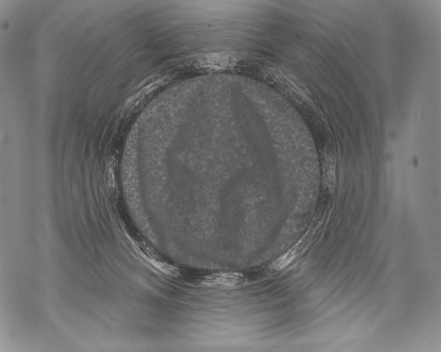 X0000071850128200607290142