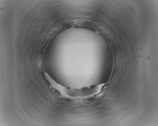 X0000071850129200607290142