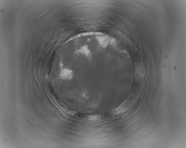 X0000071850130200607290142